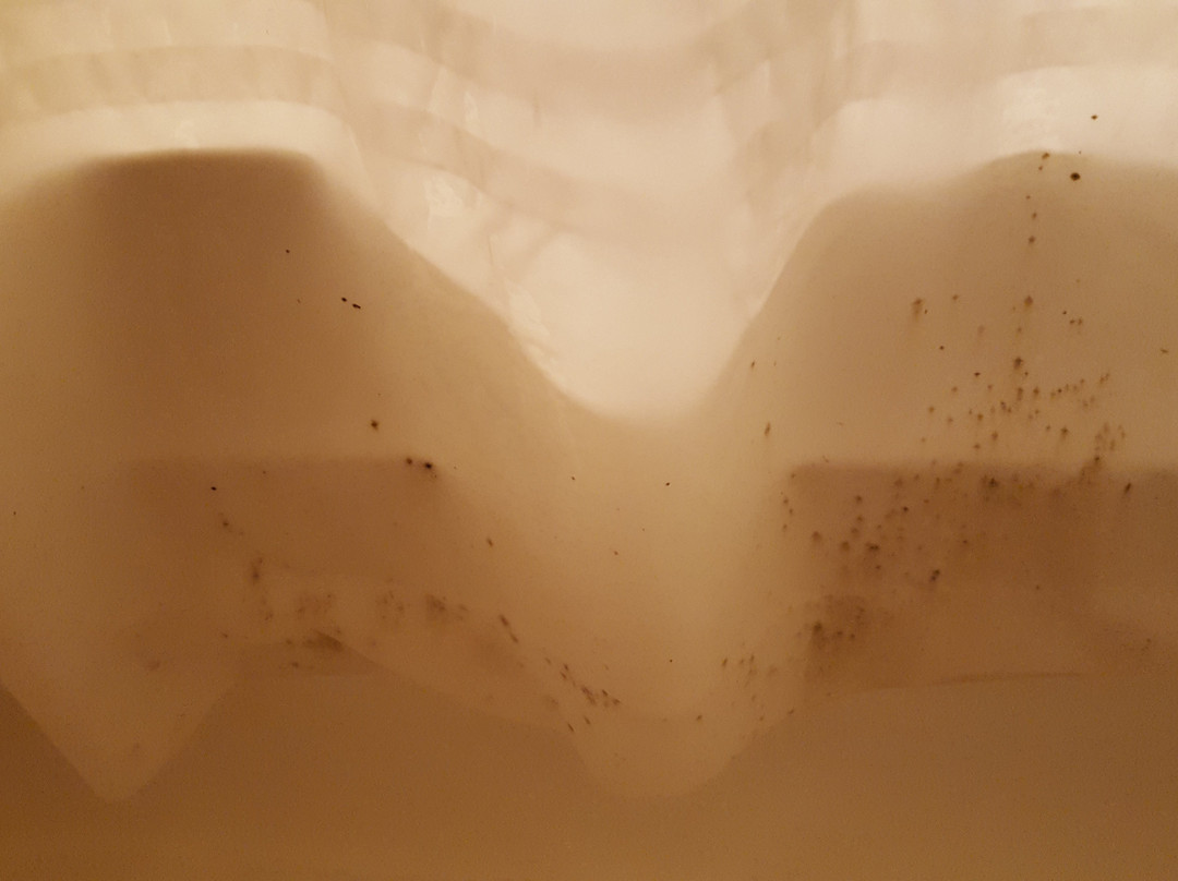 南伯灵顿酒店住宿-Green Mountain Suites Hotel