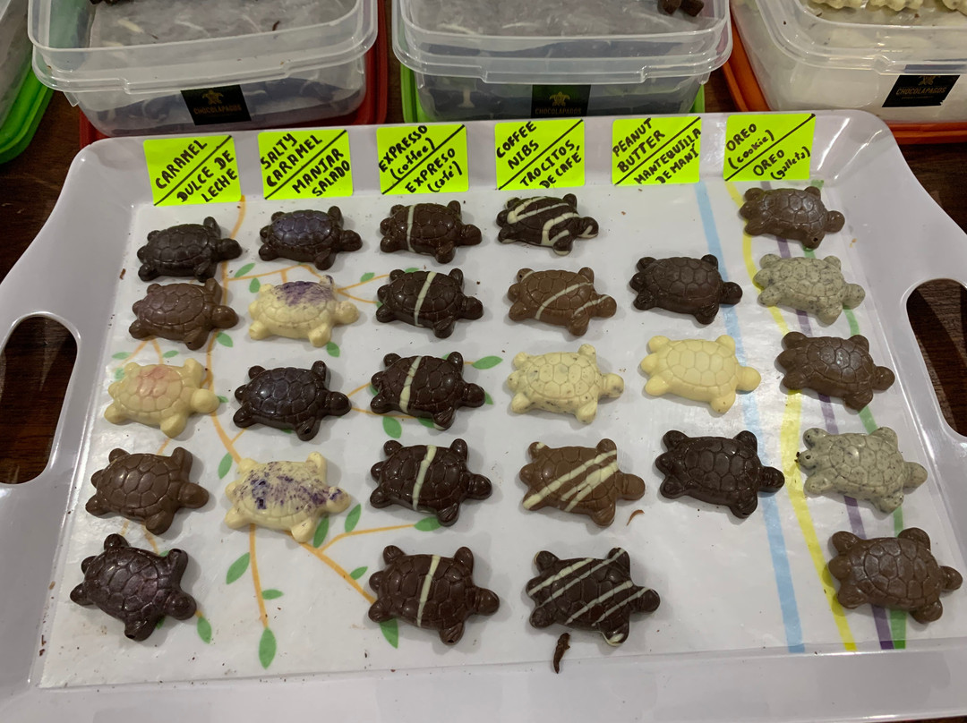 Chocolapagos Darwin's Favourites-阿约拉港必去景点