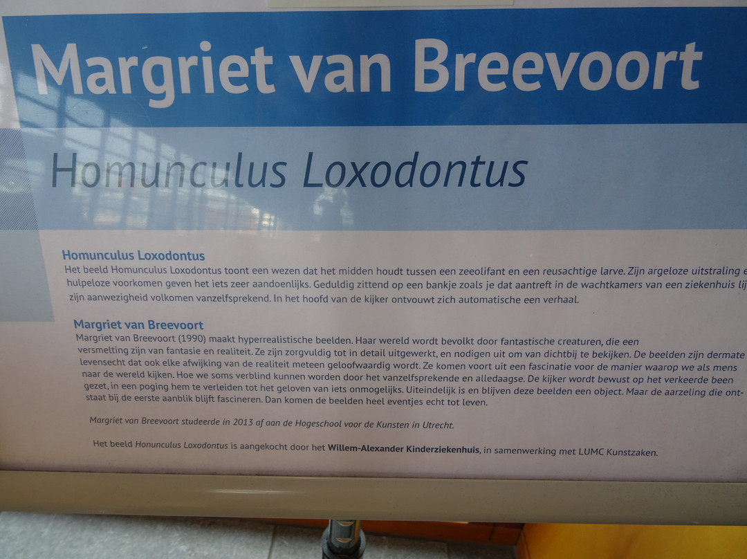Homunculus Loxodontus景点图片