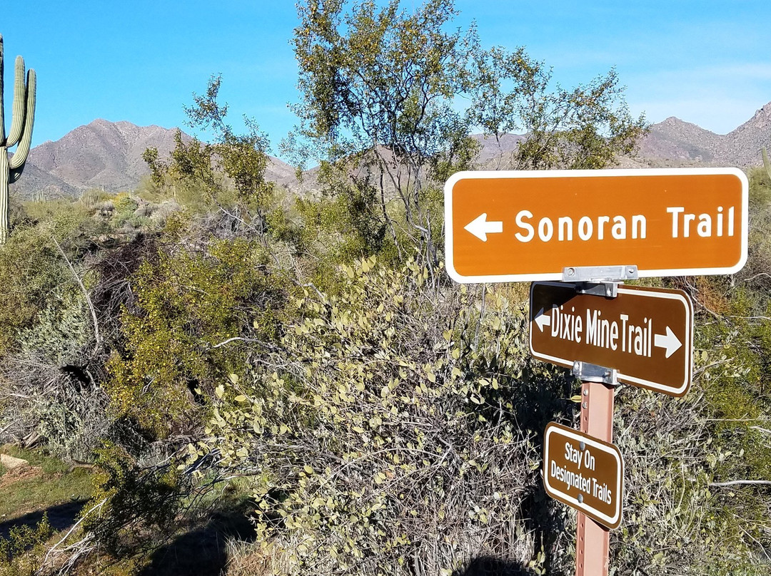 Dixie Mine Trail景点图片