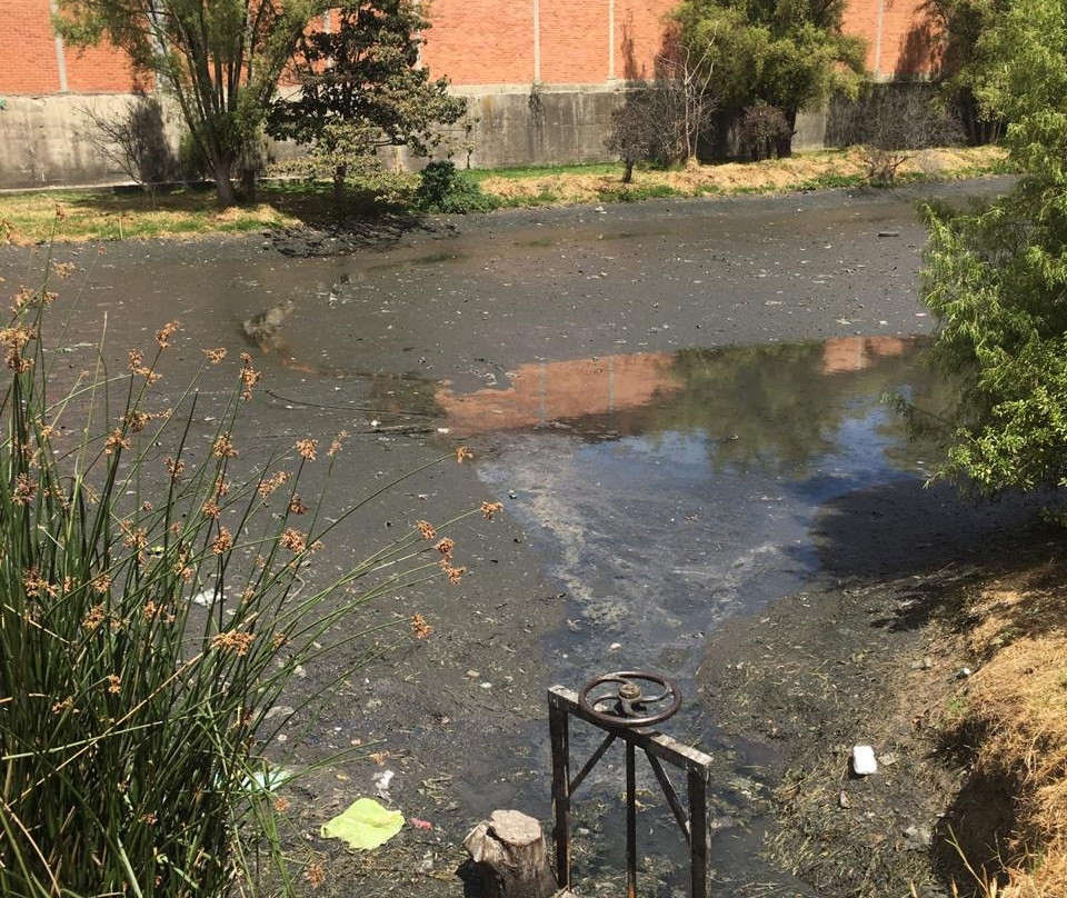 Humedal la Vaca-波哥大必去景点