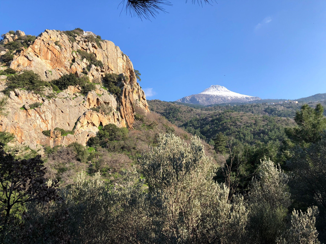 Goat Trails - Mountain Bikes & Hiking景点图片