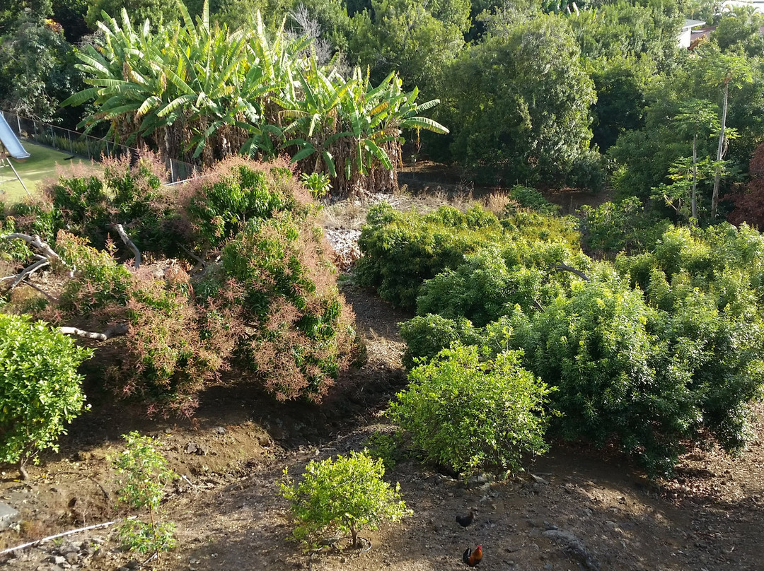 玛那哥酒店主图