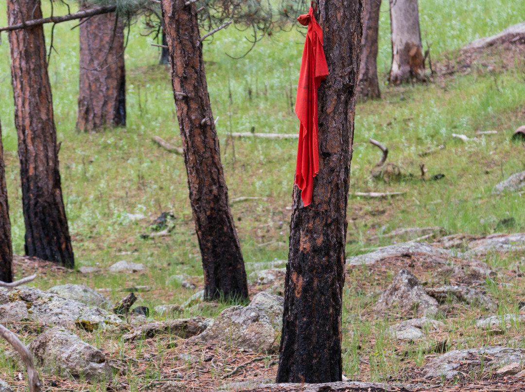 Tower Trail-Devils Tower必去景点