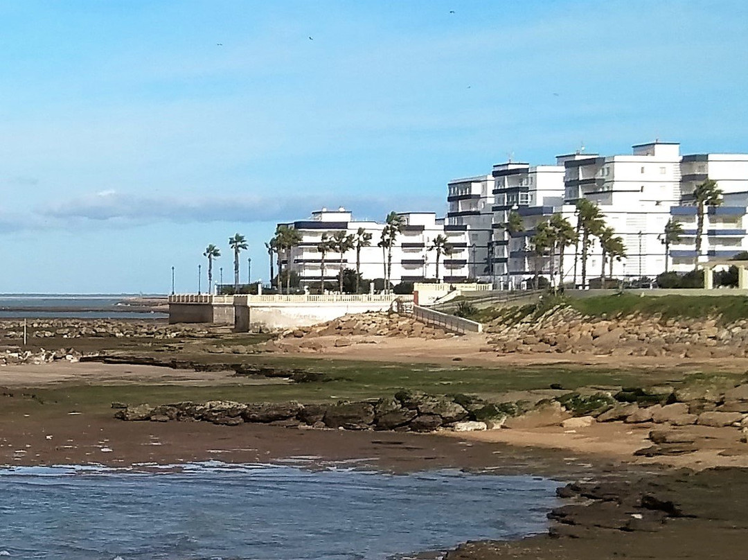 Playa de las Canteras景点图片