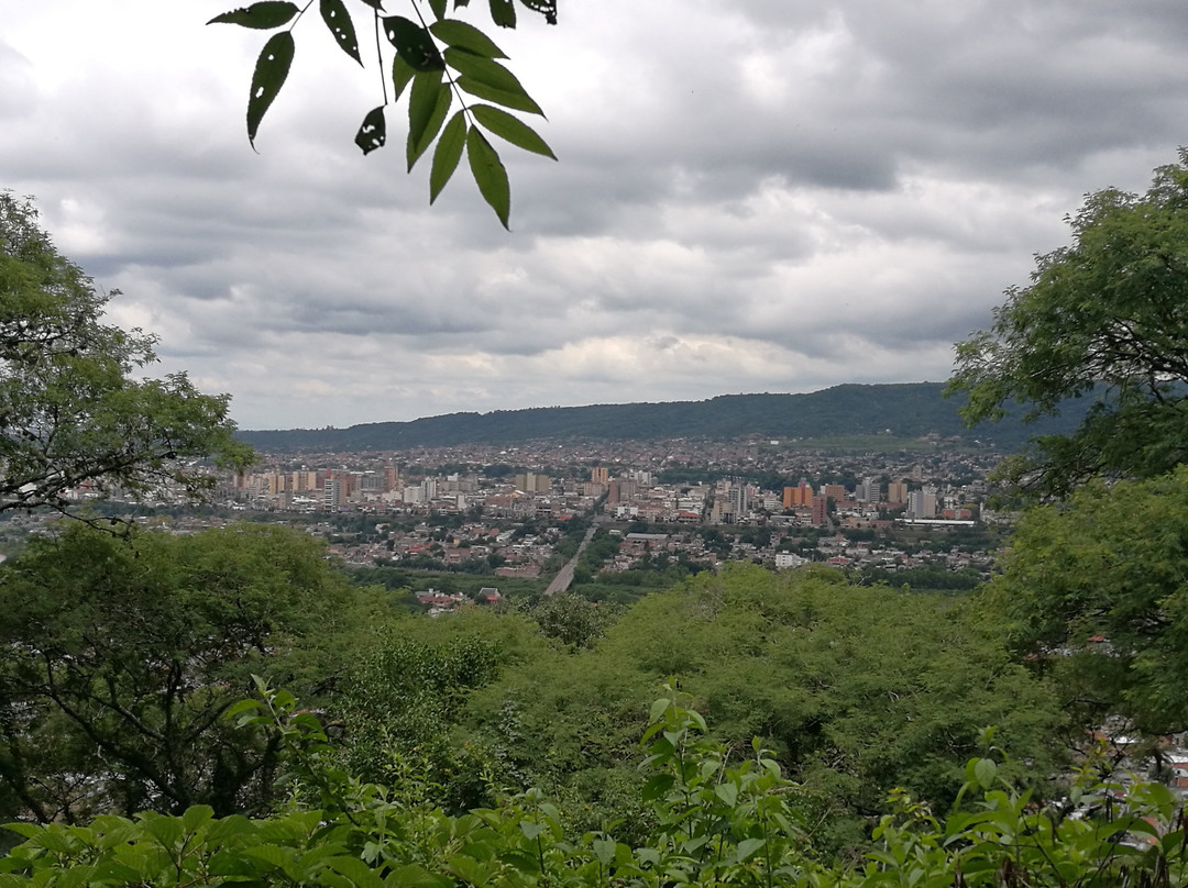Municipal Botanical Park Baron Carlos Maria Schuel景点图片