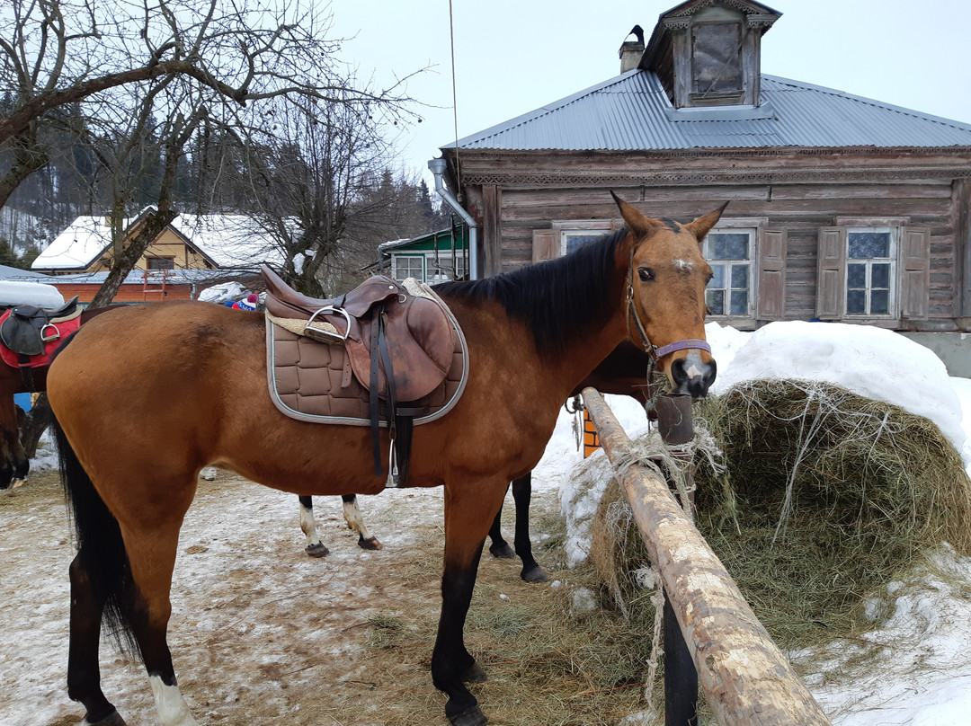 Horse Farm Dutkovo景点图片