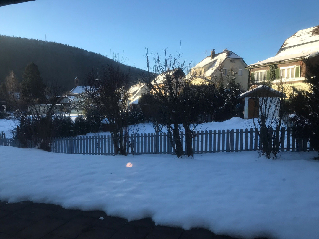 Schwarzwald Schaefer主图