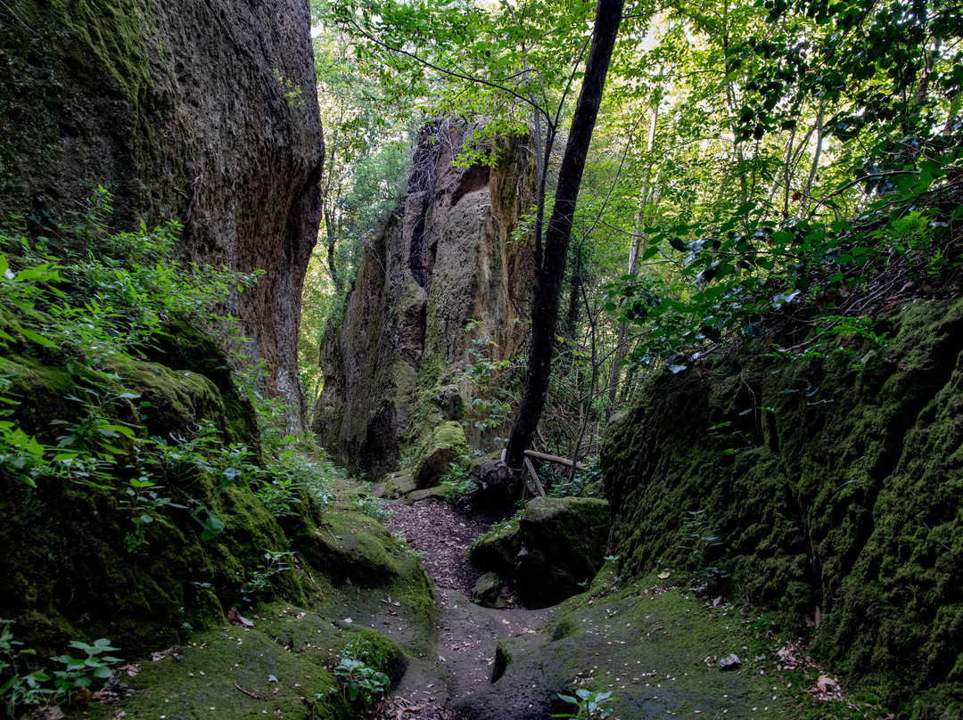 Vie Cave Etrusche景点图片