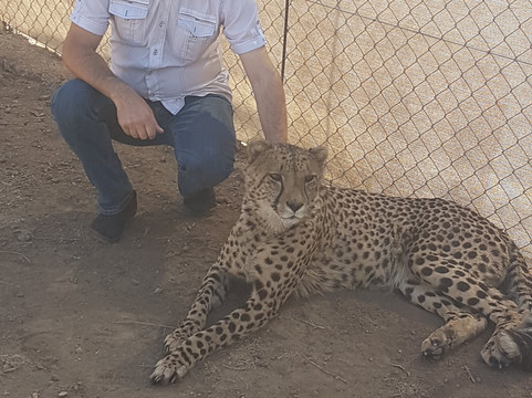 Evo's African Shuttle-三图里恩必去景点