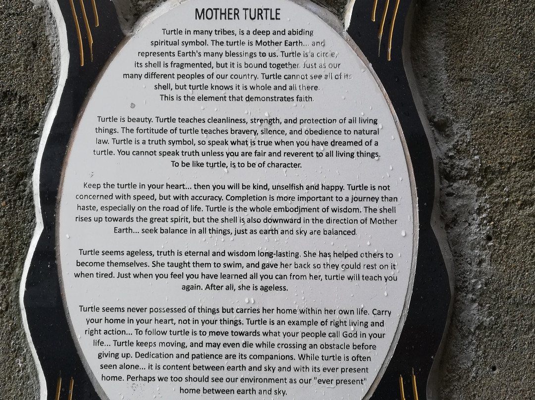 Turtle Sculpture景点图片