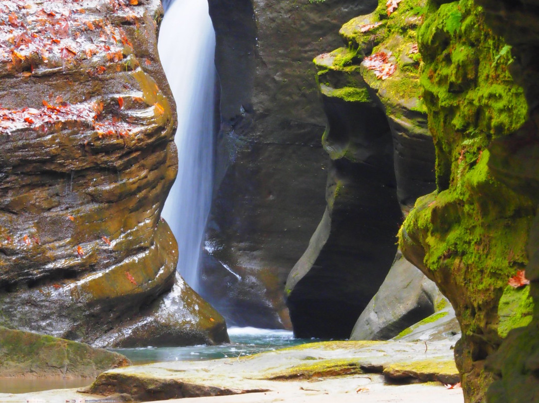 Boch Hollow State Nature Preserve-洛根必去景点