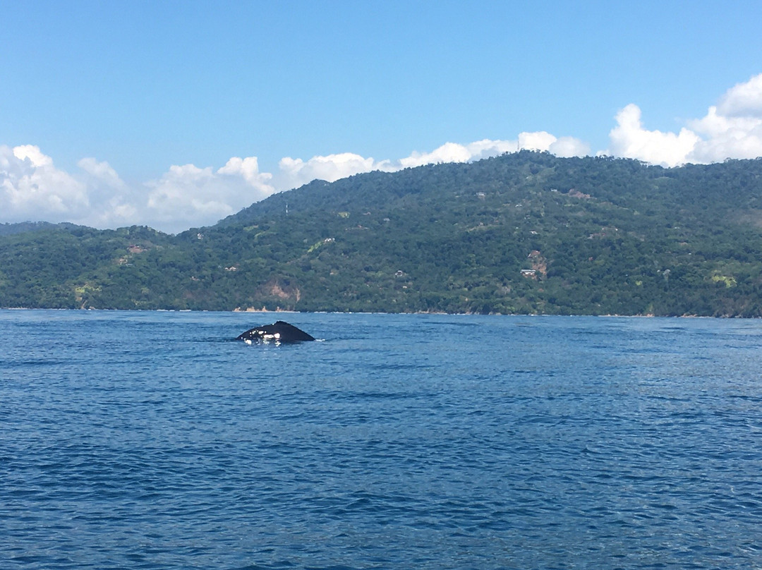 Ballena Infocenter景点图片