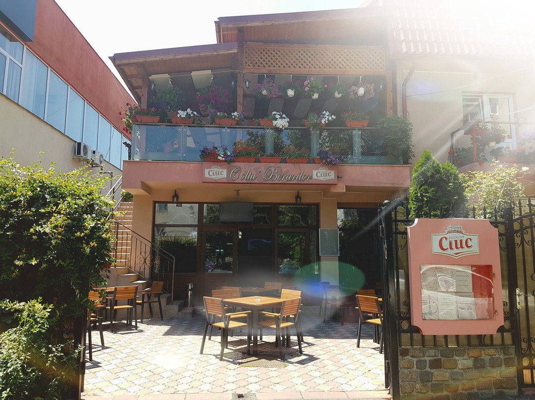 Magurele餐馆和美食-Coltu Berarilor