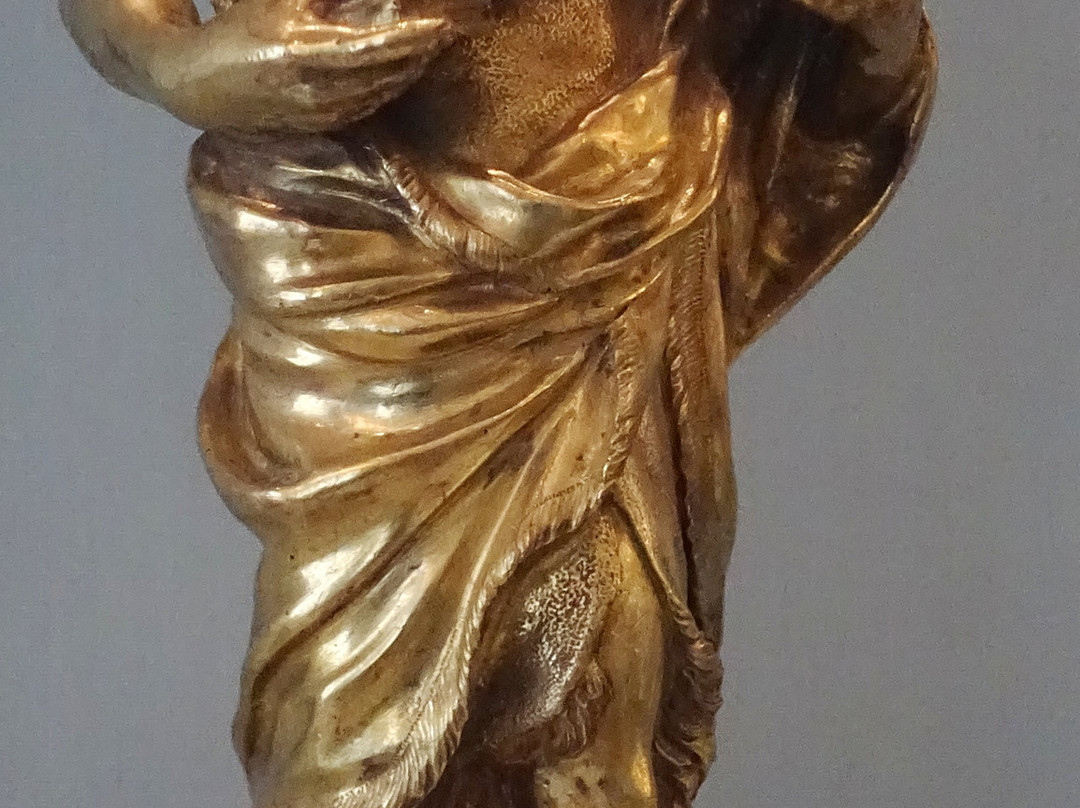 Museo Civico Amedeo Lia景点图片