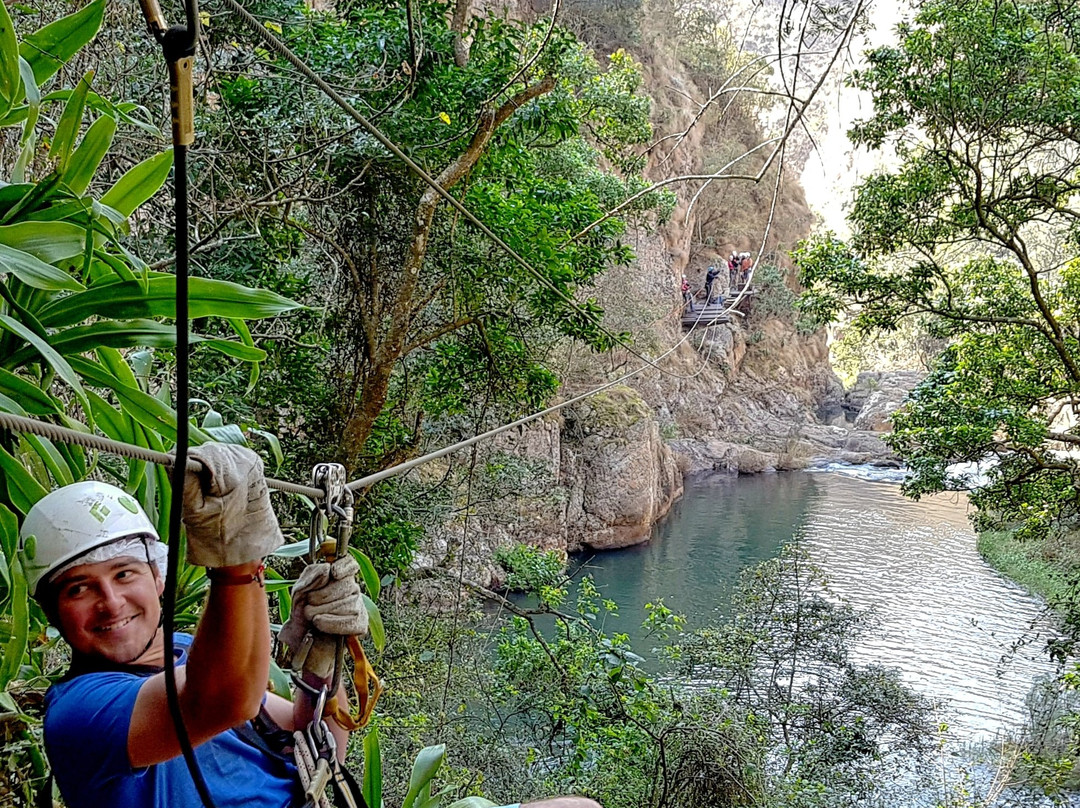 Magoebaskloof Canopy Tours景点图片