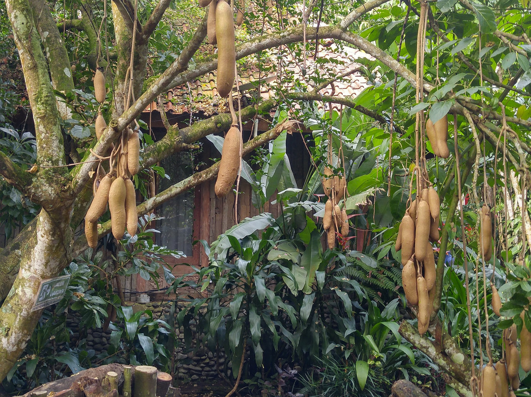 伊玛塞尼曼酒店主图