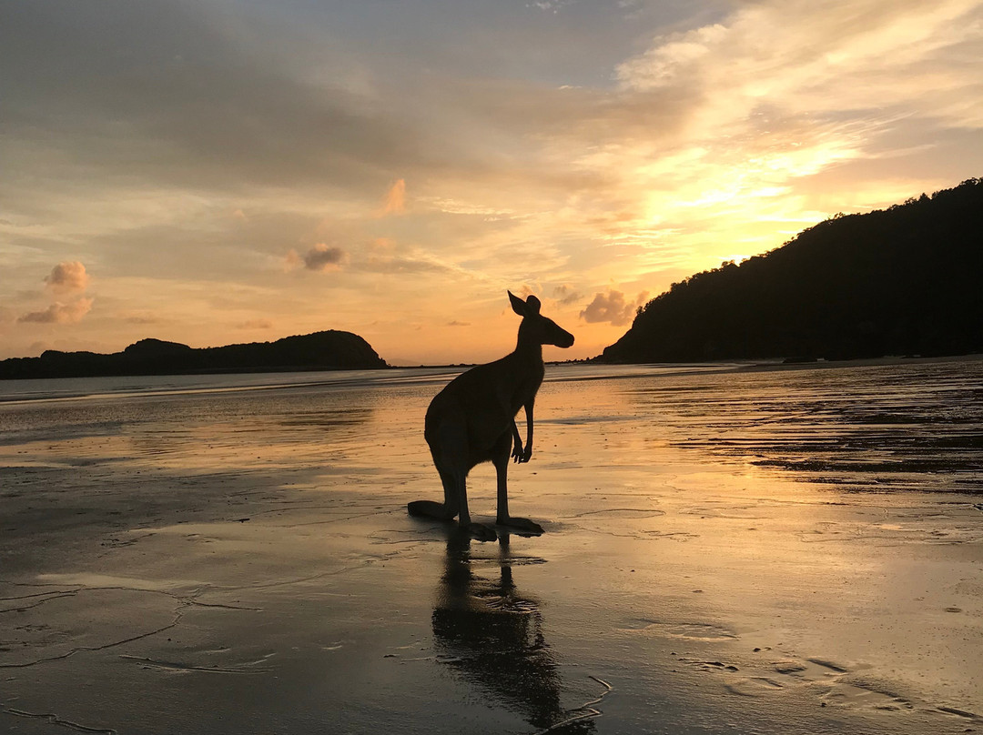 Cape Hillsborough Nature Tourist Park主图