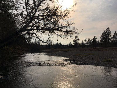 Laughing Alpaca Campground and RV Park