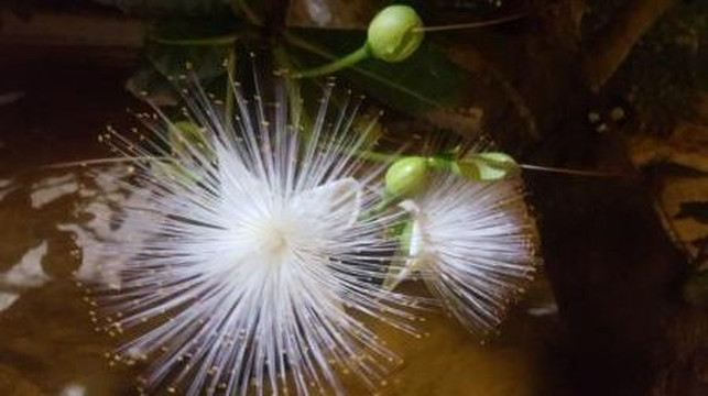 天堂海滩俱乐部酒店主图