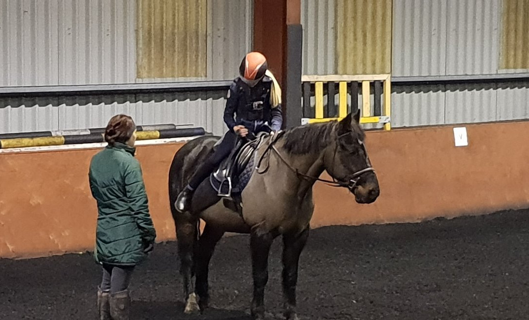 Ayr Equestrian Centre景点图片