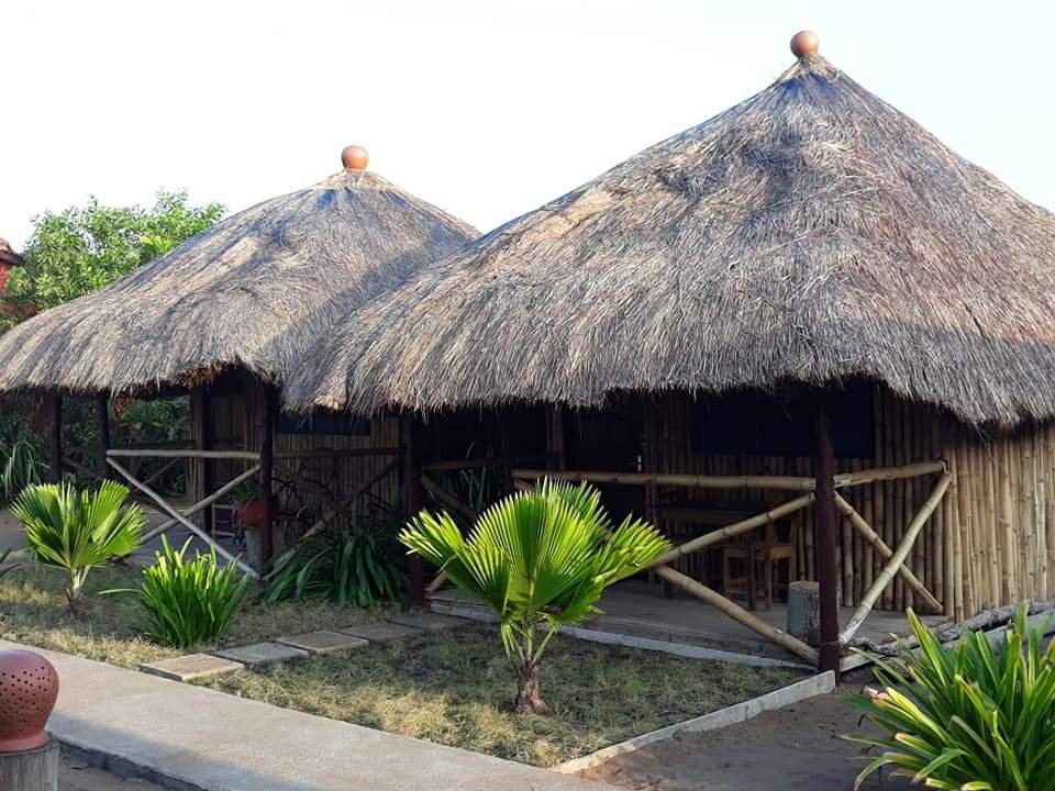 La Case De Crusoe-官方