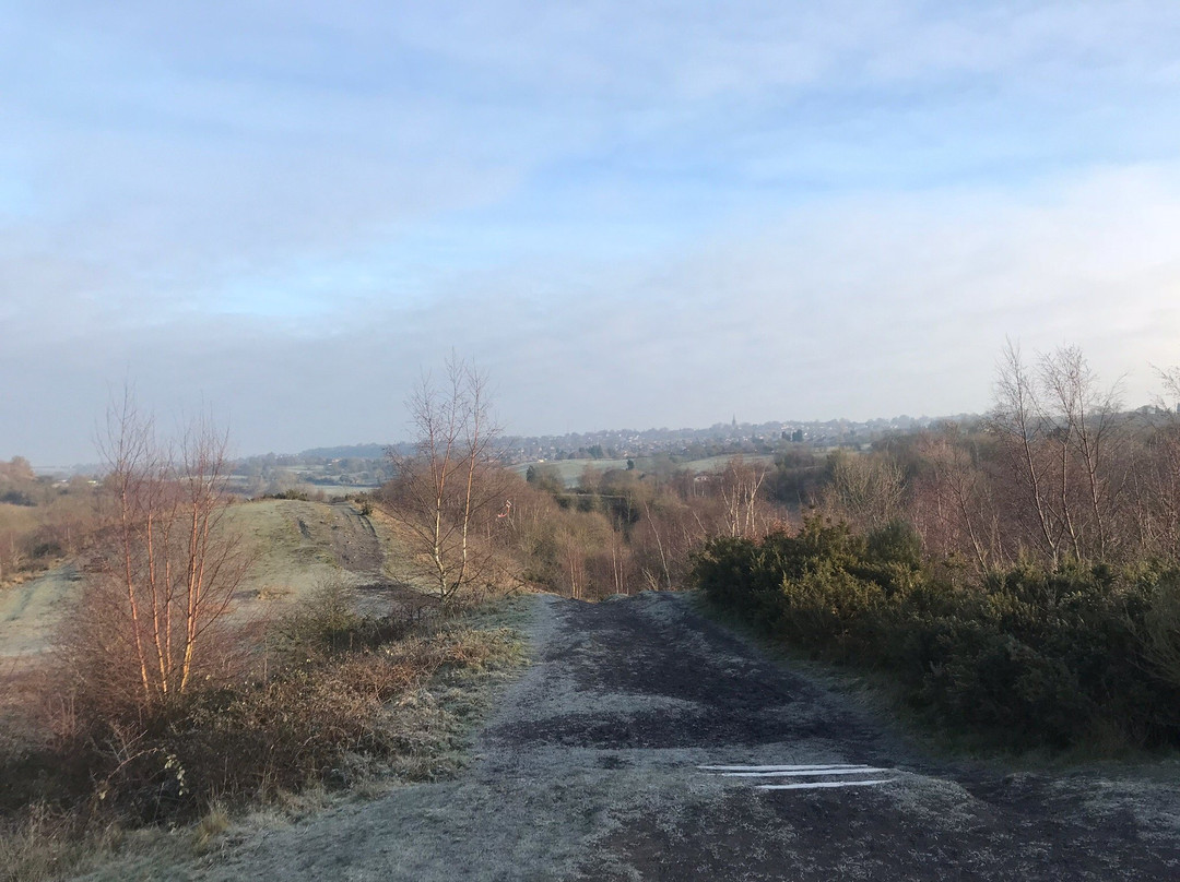 Baggeridge Country Park景点图片