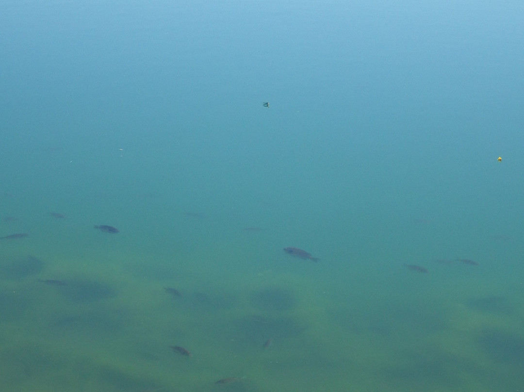 Heritage Park-坎顿必去景点