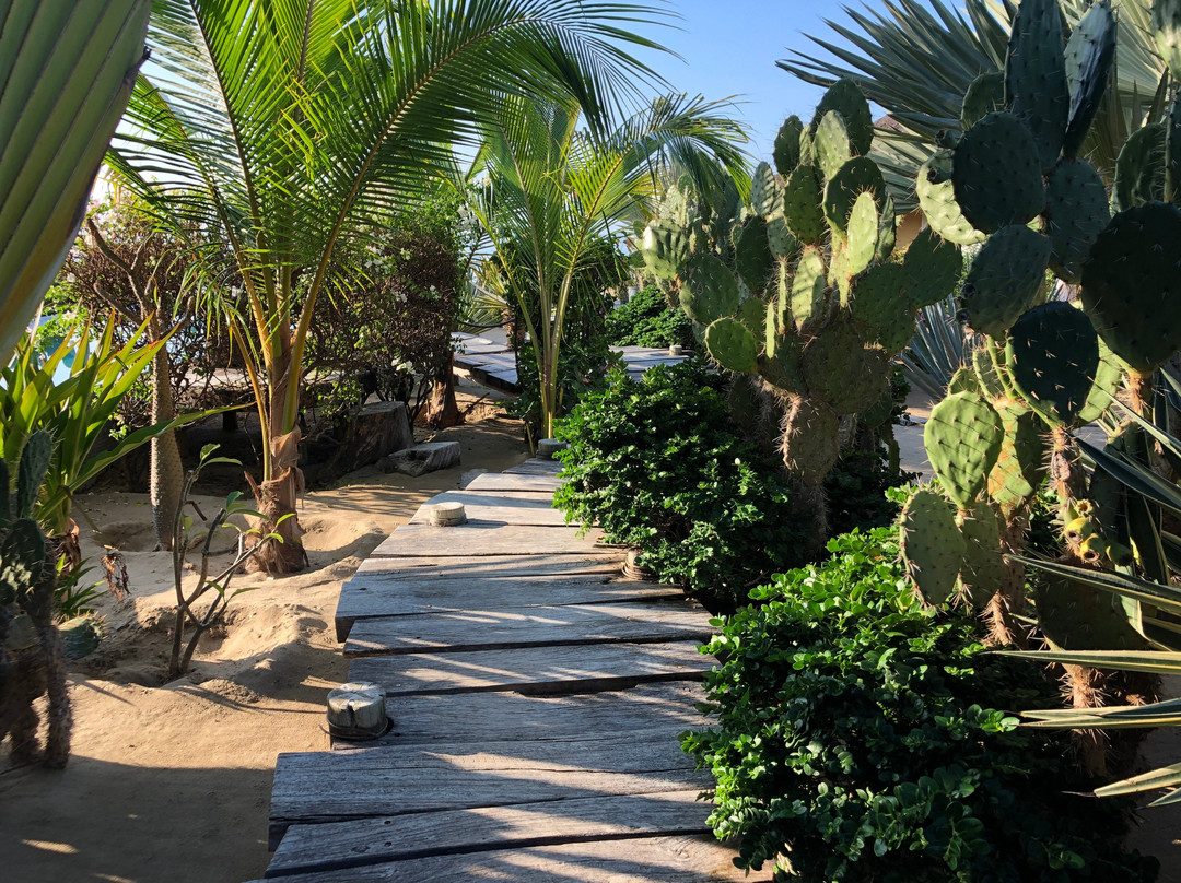 Amalys Luxury Resort主图