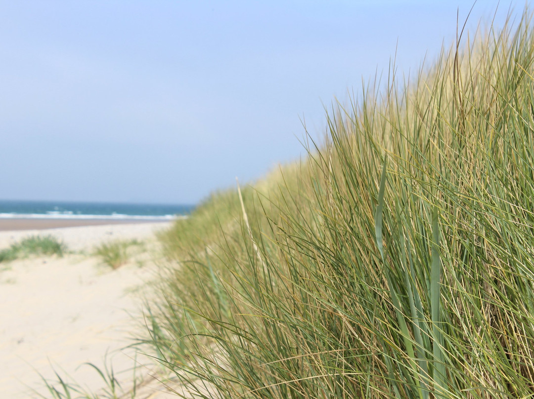 Findhorn Beach景点图片