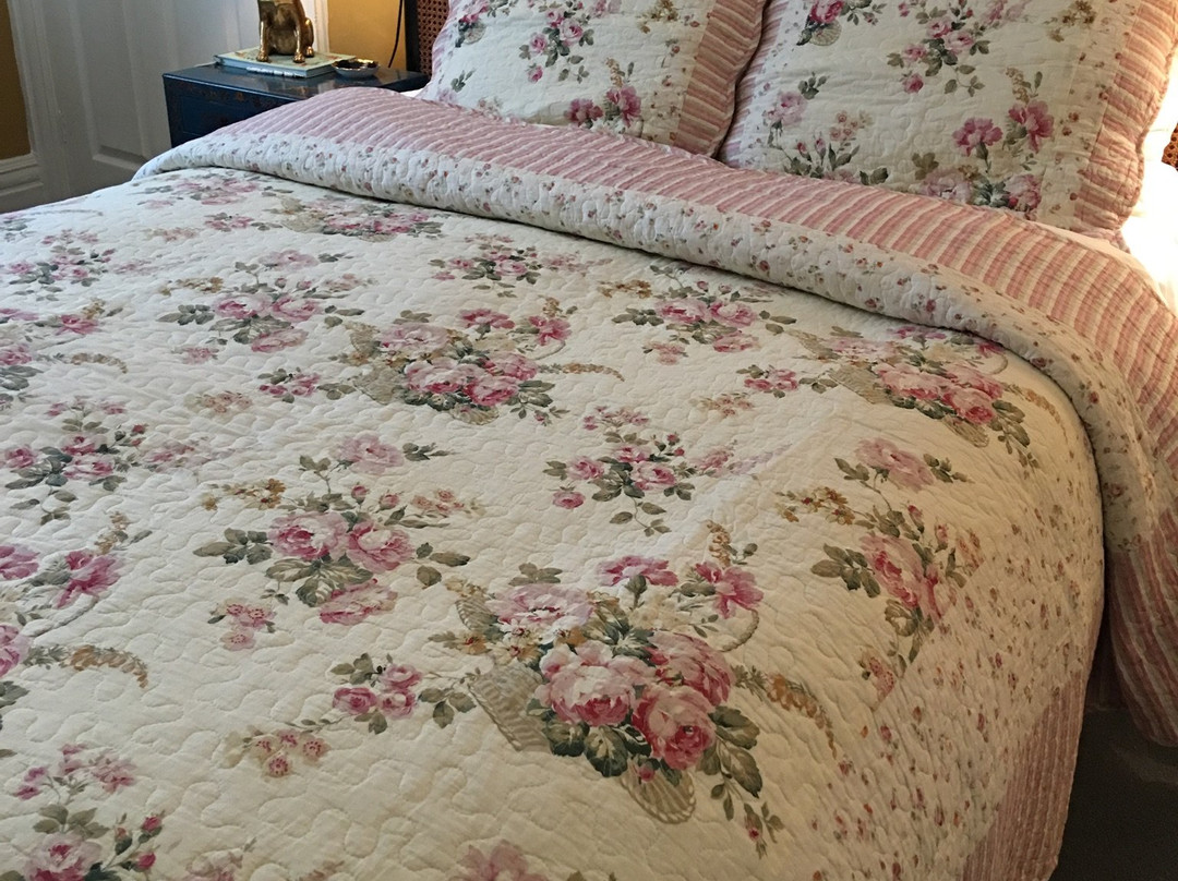 Wynberg House Swansea Bed & Breakfast主图