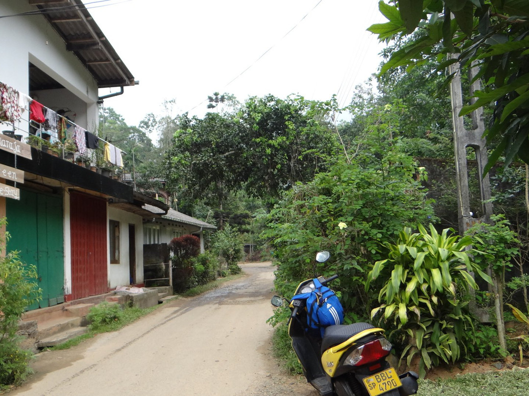 Sinharaja Green Homestay主图