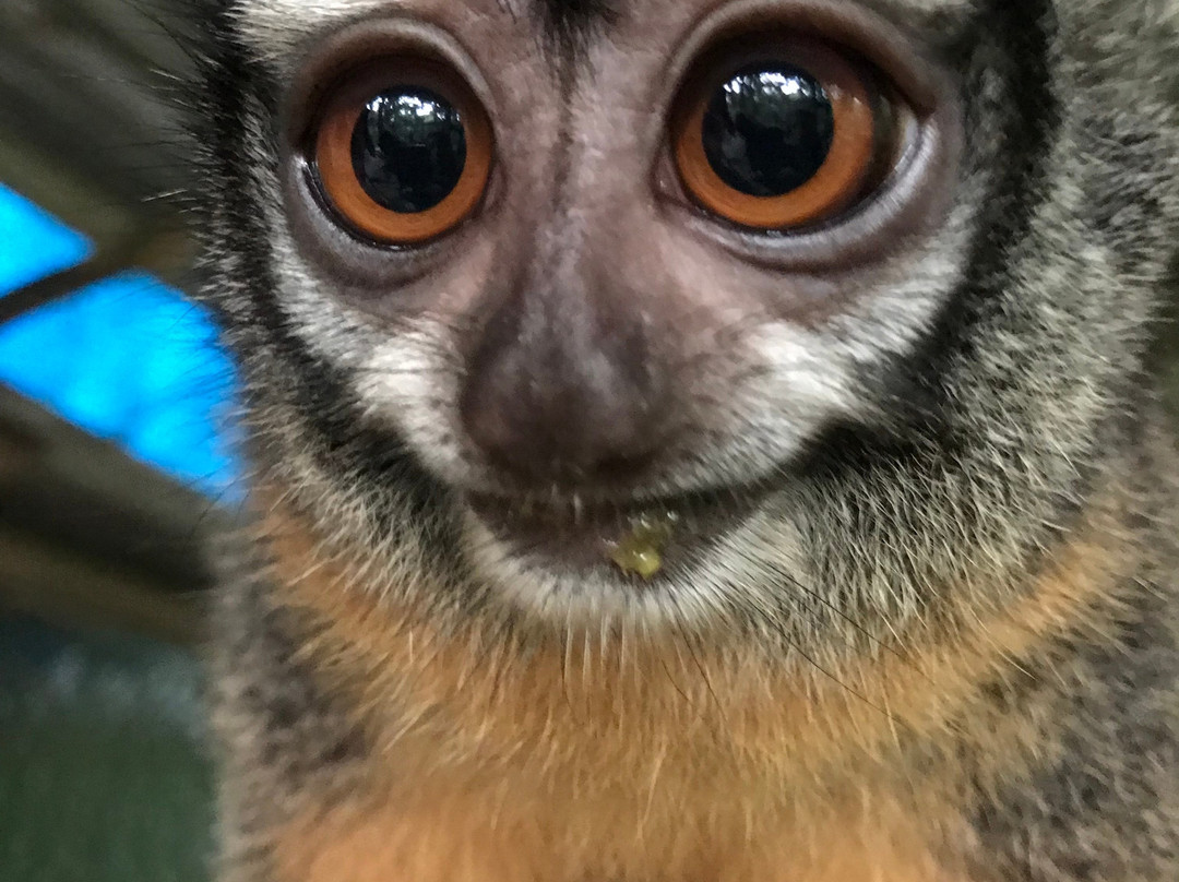 Comunidad Inti Wara Yassi (CIWY)-科恰班巴必去景点