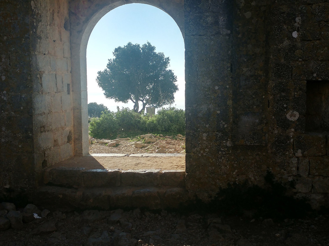 Castle of Montgrí景点图片