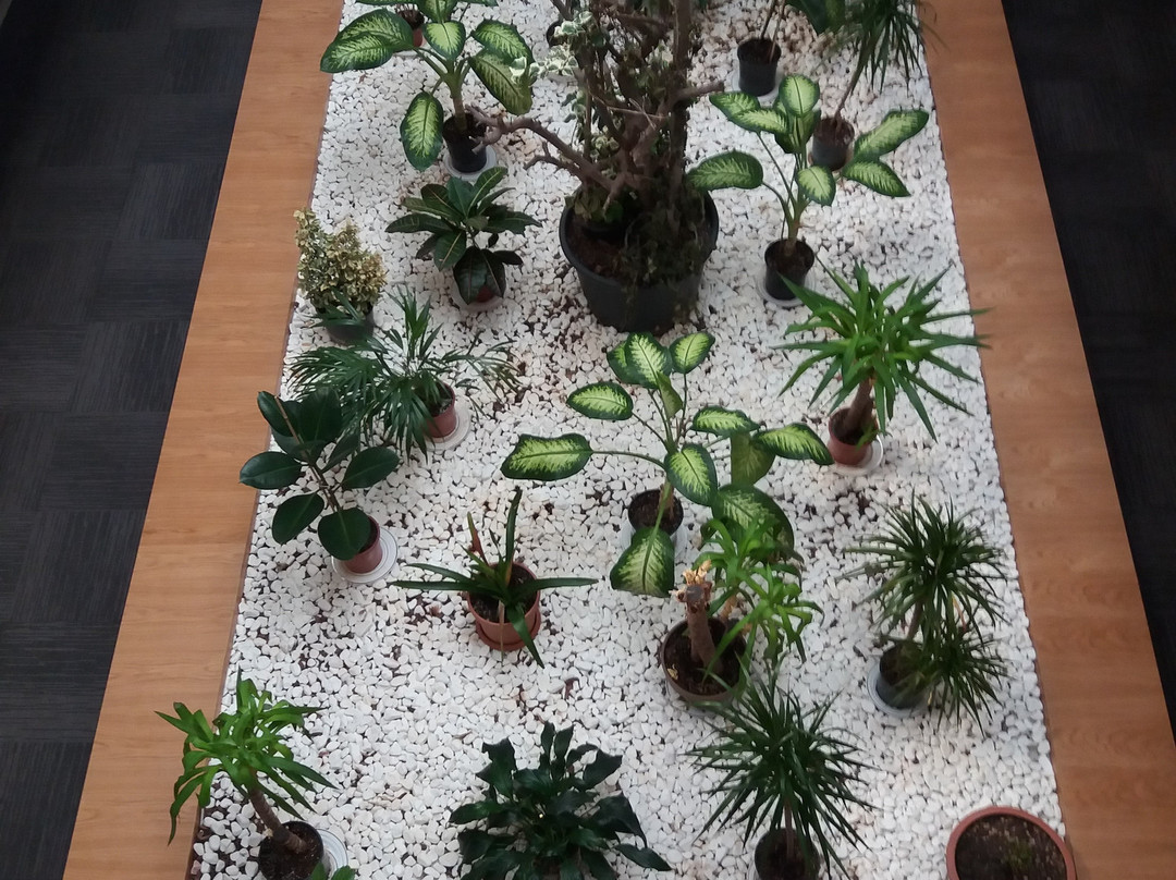 Pera Hotel Luleburgaz主图