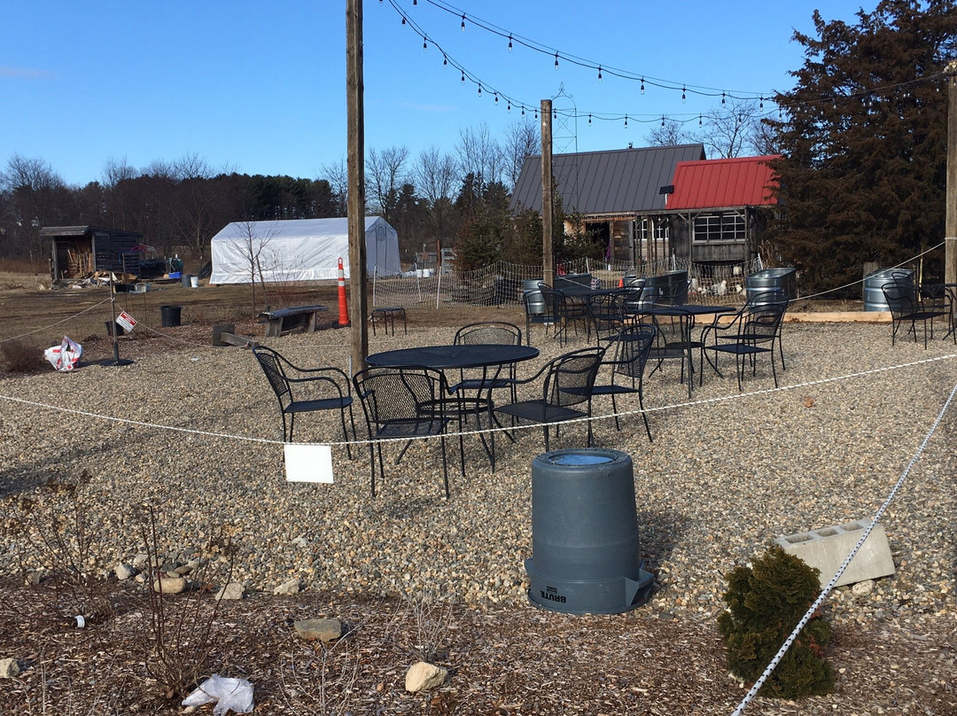 Throwback Brewery-North Hampton必去景点