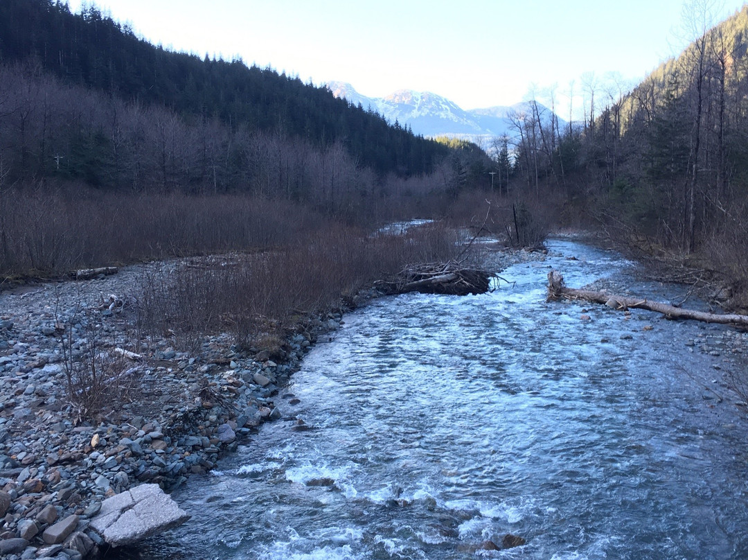 Gold Creek Flume Trail-朱诺必去景点