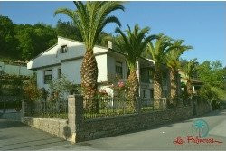 Apartamentos Las Palmeras
