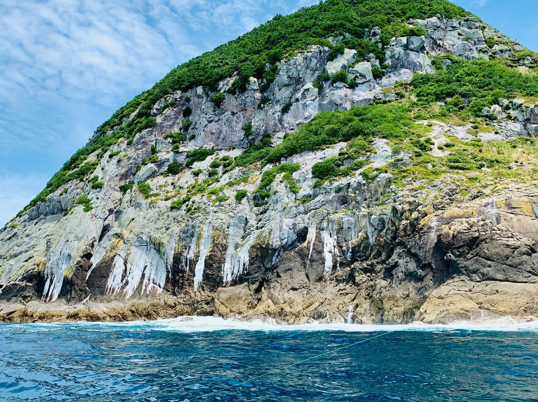 瓦卡瓦湾-奥克兰中心地区必去景点