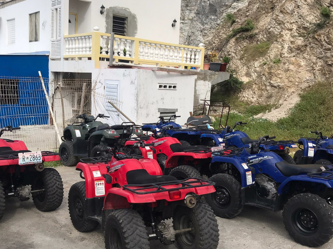 A One Car Rental景点图片