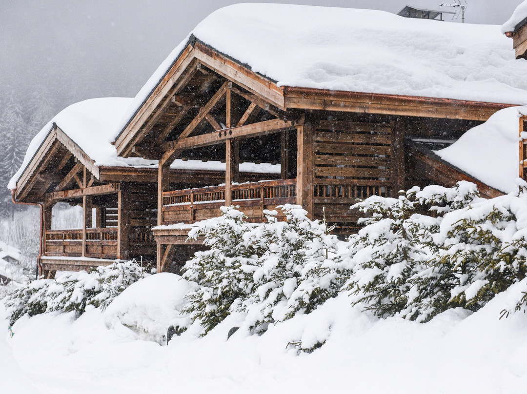 Chalet Grand Montets
