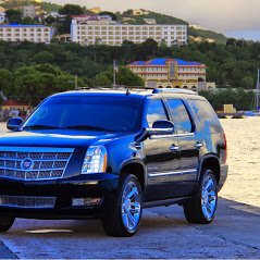 Mr. Nice Guy Limousine Service-夏洛特阿马利亚必去景点