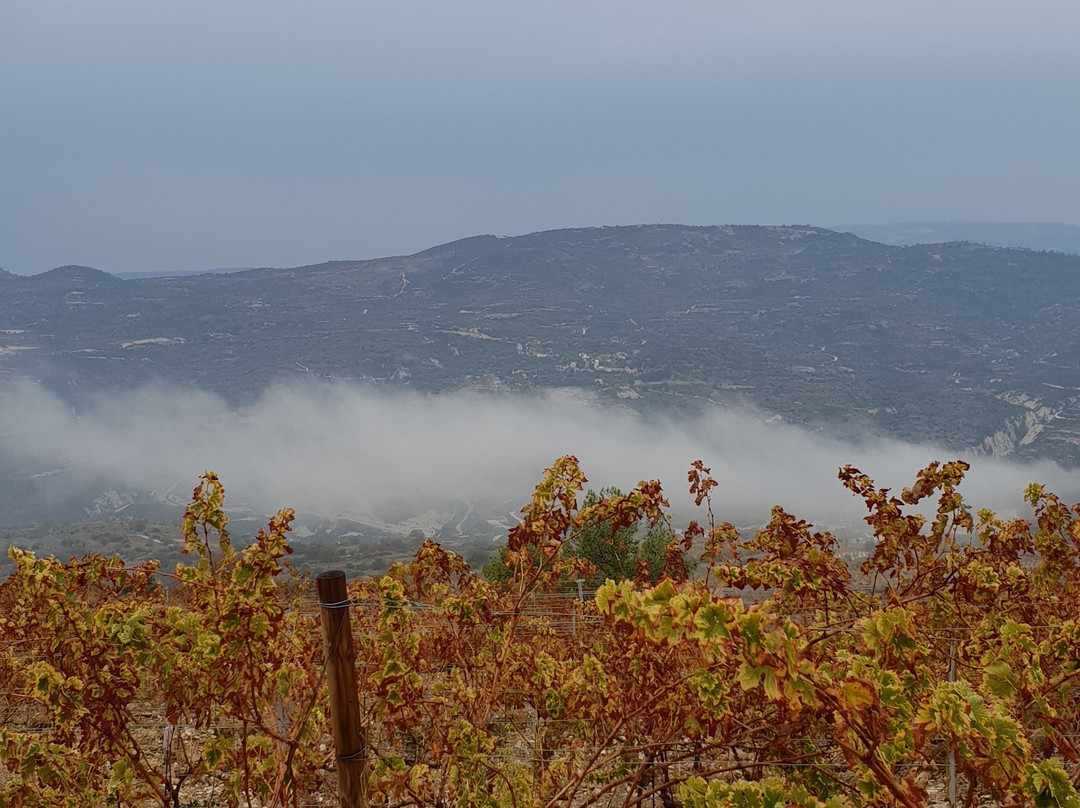 Nelion Winery-Praitori必去景点
