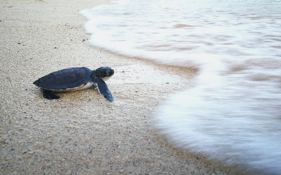 GEM Divers-马江必去景点