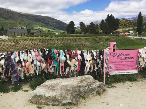 Queenstown Transfers-皇后镇必去景点