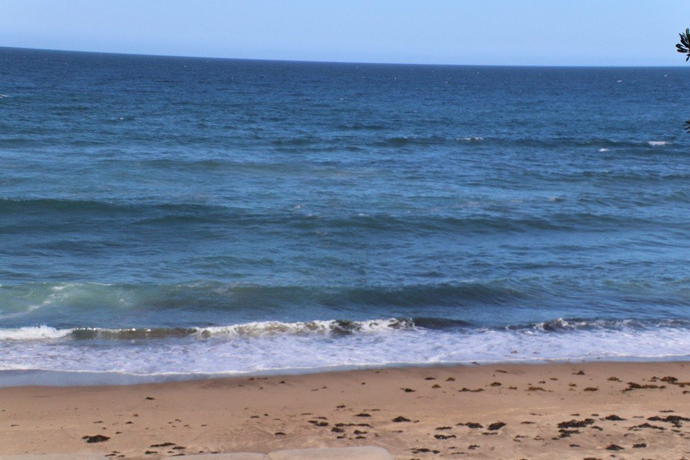 Coalcliff Beach-卧龙岗市必去景点