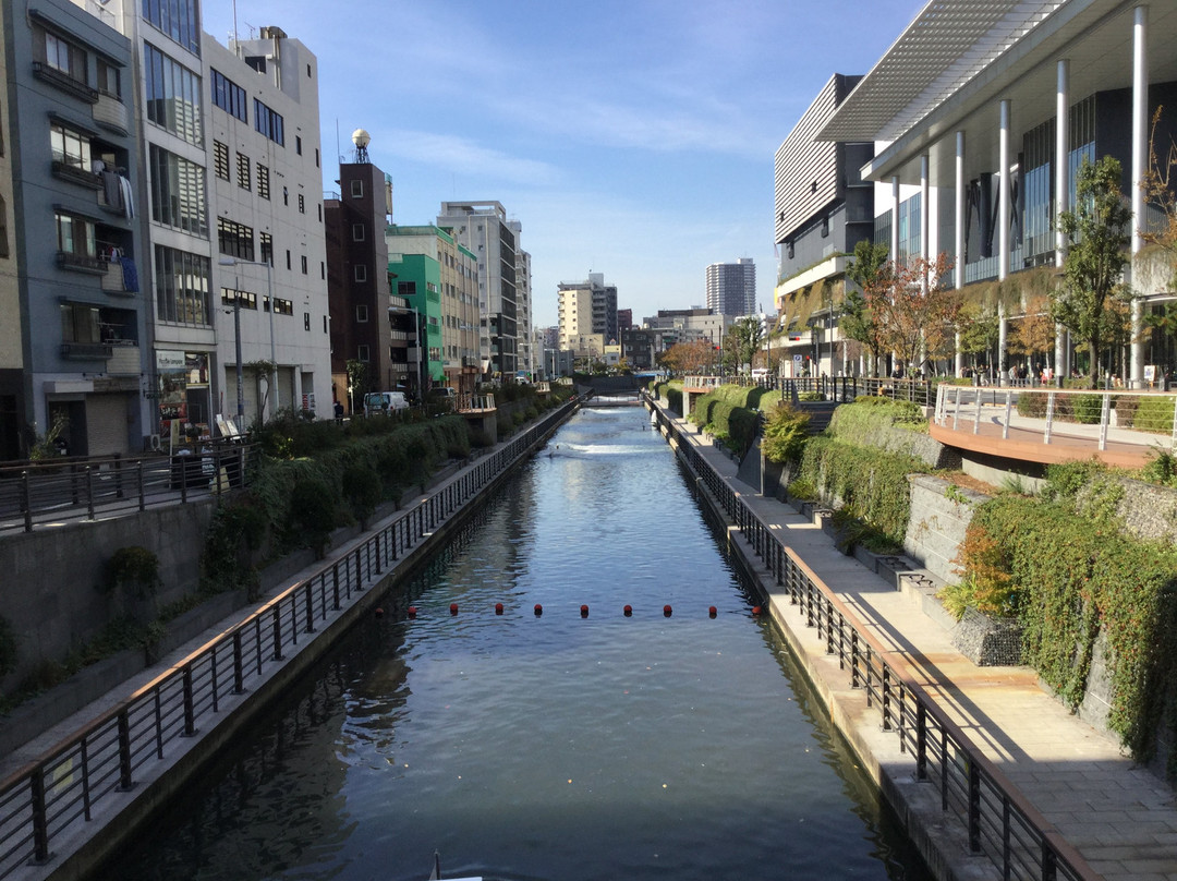 Oshinari Park-墨田区必去景点