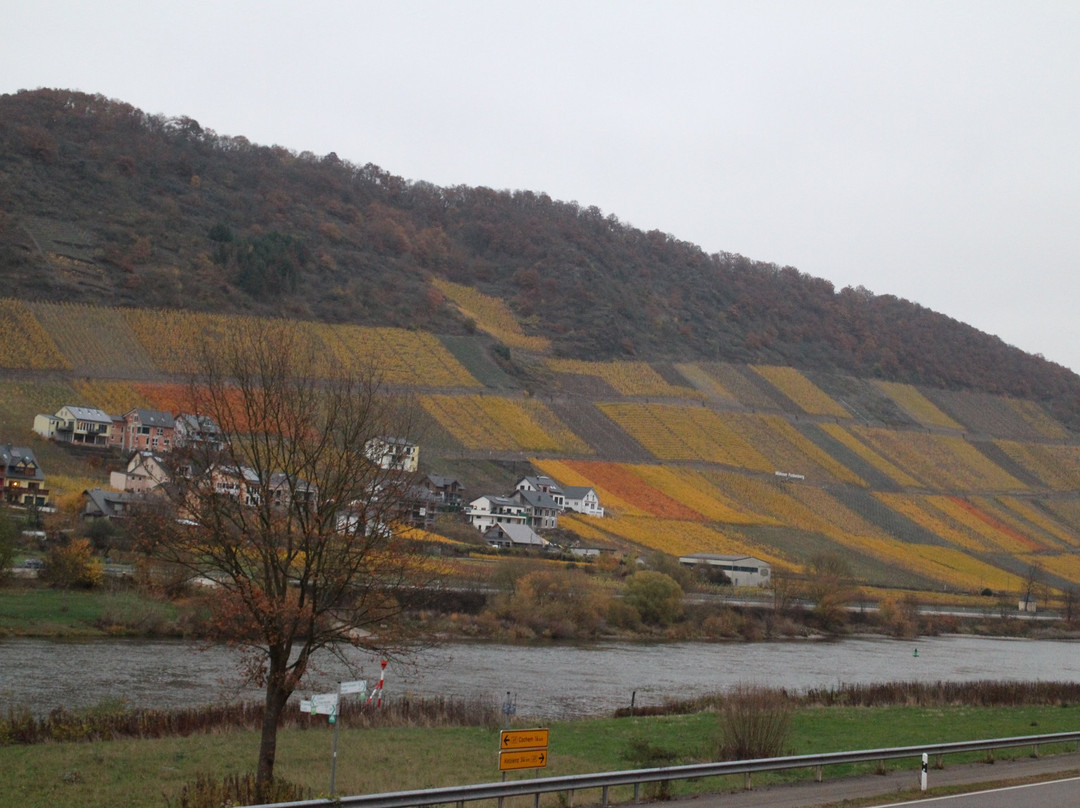 奥斯特曼酒店主图