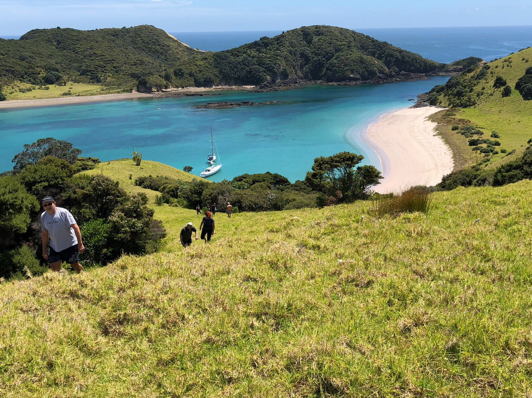 Bay of Islands Sailing/Gungha II景点图片