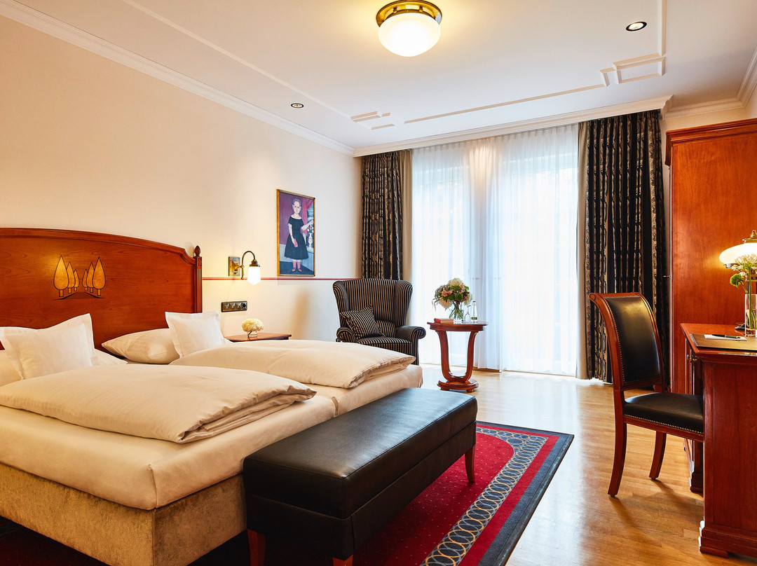 Dachsbach酒店住宿-艾列尔酒店